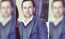 Yoldaki domuz sürüsü sonu oldu!