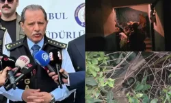 Suç örgütü operasyonunda 15 tutuklama!