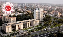 Türkiye'den AP'ye tepki: Tarihi gerçekler çarpıtılıyor