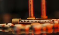 Ebola alarmı: Vaka sayısı 7 bini aştı