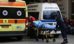 Avrupa'da Batı Nil alarmı: Can kaybı ve vaka sayısı artıyor