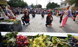 Gökçealan coğrafi işaretli Osmancık üzümü ile şenlendi