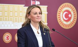 YENİ Partili Ösen’den “rakamlarla İEF” yorumu: Siyasi atmosferden bağımsız değil!