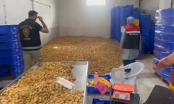 25 ton etiketsiz kuru incir ele geçirildi
