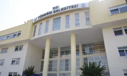 Başkanvekilliği seçiminde yürütmeyi durdurma kararı