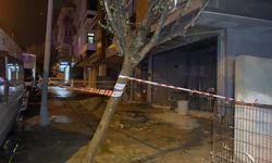 Kaldırımda yürürken dehşeti yaşadı: Köpeği öldü, kendisi yaralandı!