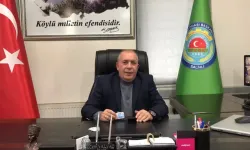 Oda başkanı üzüm fiyatlarına isyan etti: Bağcılığı bırakıyorum