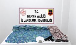 Dev uyuşturucu operasyonu: 64 bin 175 hap ele geçirildi