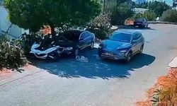 Otomobilin 2 köpeğin üzerinden geçmesine ilişkin soruşturma!