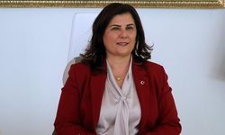 AK Parti’ye geçen Çerçioğlu’nun eşinin şirketine piyango… TOGG’la anlaştı!
