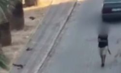 İzmir'de pompalı tüfek dehşeti: Sokakta rastgele ateş açtı!