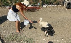 Sitenin bahçesine konan leyleğe sahip çıkıp: Balık ve etle besliyorlar!