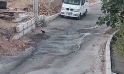 Karabağlar'da vatandaşa kanalizasyon çilesi: Bir aydır çözüm bekliyorlar!