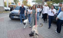 Karşıyaka’da can dostlar için dayanışma buluşması