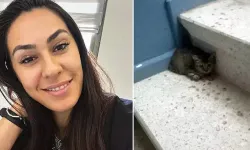 Evinde rahatsızlanan Gamze kurtarılamadı: 20 kedisi korumaya alındı
