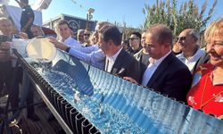 2. Uluslararası Bodrum Balık Festivali başladı