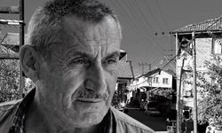 Kestane yolunda canından oldu