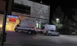 Mantar yiyen  2 kişi zehirlendi!