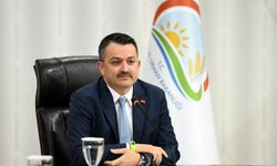 Eski Bakan Pakdemirli: İzmir'deki Manisalıların temsili artmalı!