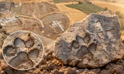 Arkeologları şaşırtan keşif: Tavşanlı Höyük'te 4 bin yıllık pati izi bulundu