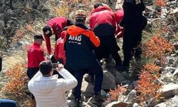 Alzheimer hastası kadından acı haber!