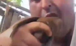 Kuşları öldürüp sanal medyada paylaşan şüpheli tutuklandı