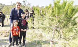 İzmir’de hafriyatın rotası değişiyor: Eski sahalar orman oluyor!