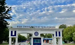 Üniversiteden toplatılan köpeklere dair açıklama!