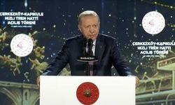 Cumhurbaşkanı Erdoğan: Suç işleyenin yargı yakasına yapışır