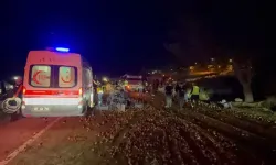 Traktörle kamyonet çarpıştı: 1 ölü, 1 yaralı!