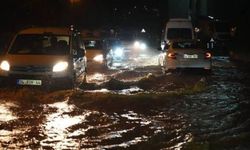 Türkiye Sigorta Birliği’nden iflas iddialarına yanıt