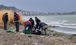 Göl kenarında gizemli ölüm: Erkek cesedi bulundu