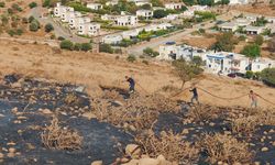 Bodrum'da makilik alanda çıkan yangın söndürüldü
