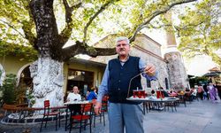 4 asırlık çınar, yarım asırlık kahve