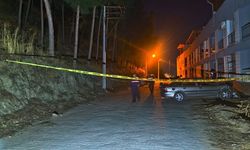 Evin balkonuna çarpan otomobilin sürücüsü yaralandı