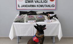 Narkotik köpeğinden kaçmadı... İzmir'de zehir baskını!