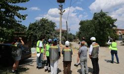 Adm ve Gdz Elektrik'ten Göçmen Kuşlara Güvenli Gökyüzü