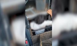 Otobüsün tabanına gizli bölme yaptılar: 5 göçmen yakalandı
