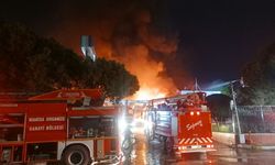 Ege'nin dev fabrikasındaki yangın kontrol altında