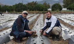 Kurumsal hayatı bıraktı, ata topraklarında organik tarıma döndü!