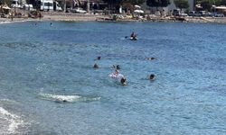 Bodrum'da ekim ayında turistlerin deniz keyfi