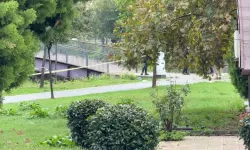 Sel felaketinde bir cansız bedene daha ulaşıldı: Ölü sayısı 3'e yükseldi