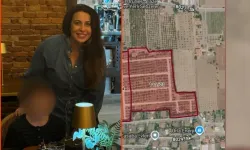 Urla’daki arazisindeki 250 zeytini kesip parsel parsel satışa çıkarmışlar!