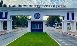 Ege Üniversitesi’nden ‘kediler zehirleniyor’ iddialarına yanıt