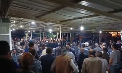 Zeytin hasadına eylem arası: Elekler durdu!