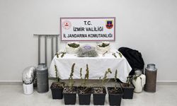 Zehir operasyonu: 5 kilo skunk ele geçirildi