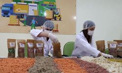 74 ilde atık gıdalar hayvan mamasına dönüştürülüyor