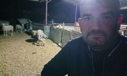 Koyunlarını otlatırken ölü bulundu!