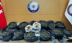 İzmir’de uyuşturucu serası ortaya çıkarıldı: 12 gözaltı