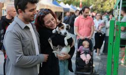 Konak’ta Patilerin Festivali: 13 can dosta ömürlük yuva!